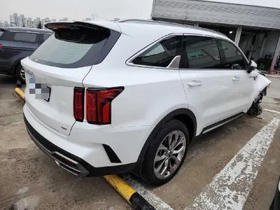 2023 Kia Sorento KNARF81BHPA198142 VIN:KNARF81BHPA198142