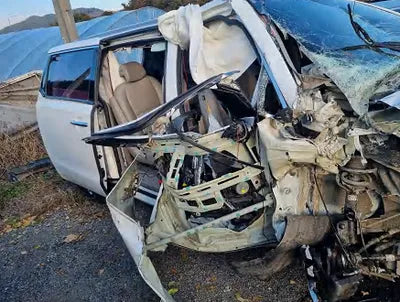 2017 Kia Carnival KNAMC81ABHS315244 VIN:KNAMC81ABHS315244