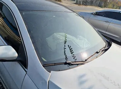 2015 Volkswagen CC WVWZZZ3CZFE821503 VIN:WVWZZZ3CZFE821503