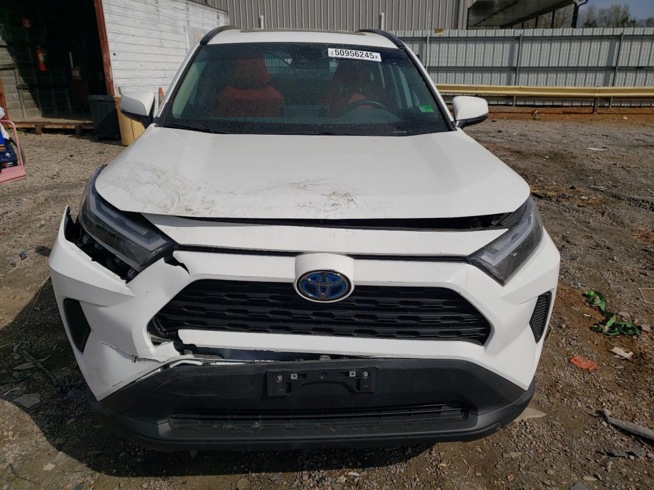 2024 TOYOTA RAV4 XLE VIN:4T3RWRFV5RU139207