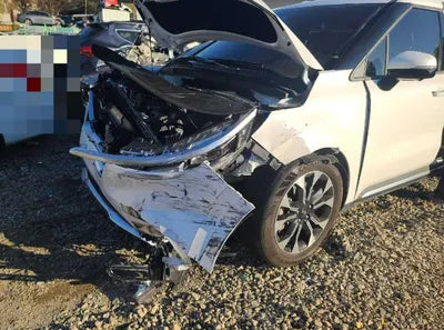 2021 Kia Carnival KNANE81BBMS103206 VIN:KNANE81BBMS103206