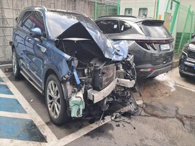2021 Kia Sorento KNARH81BGMA062553 VIN:KNARH81BGMA062553