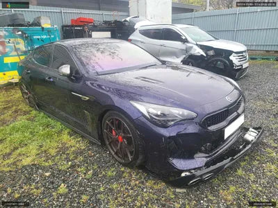 2017 Kia Stinger KNAE751CDJS001317 VIN:KNAE751CDJS001317