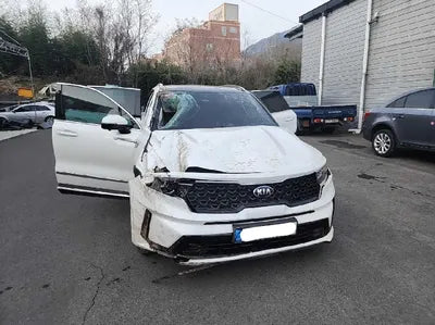 2021 Kia Sorento KNARF81FGMA070589 VIN:KNARF81FGMA070589
