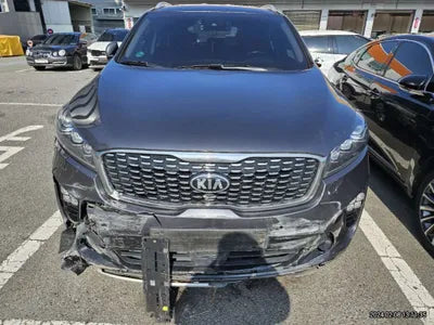 2019 Kia Sorento KNAPS81ABKA492073 VIN:KNAPS81ABKA492073