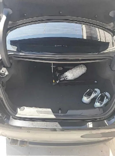 2019 Jaguar XE SAJAB4BNXKCP50099 VIN:SAJAB4BNXKCP50099