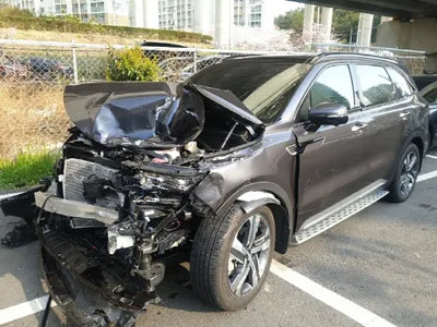 2021 Kia Sorento KNARH81GDMA060035 VIN:KNARH81GDMA060035