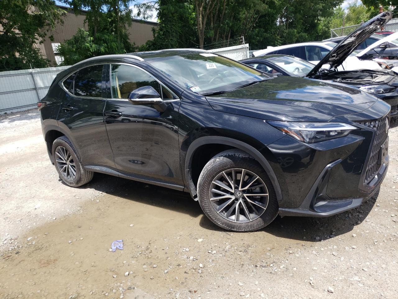 2023 LEXUS NX 350 VIN:2T2GGCEZ6PC029954