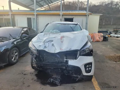 2017 Kia Sorento 304KMKNAPS81ADHA3 VIN:304KMKNAPS81ADHA3