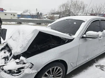 2020 BMW 520 WBAJK9102LCE10996 VIN:WBAJK9102LCE10996