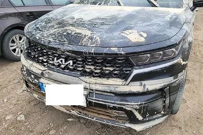 2022 Kia Sorento KNARL81GBNA095448 VIN:KNARL81GBNA095448