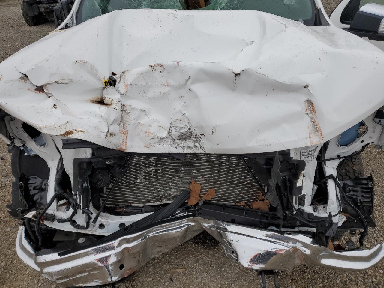 2024 CHEVROLET SILVERADO K1500 LT VIN:1GCUDDED8RZ260373