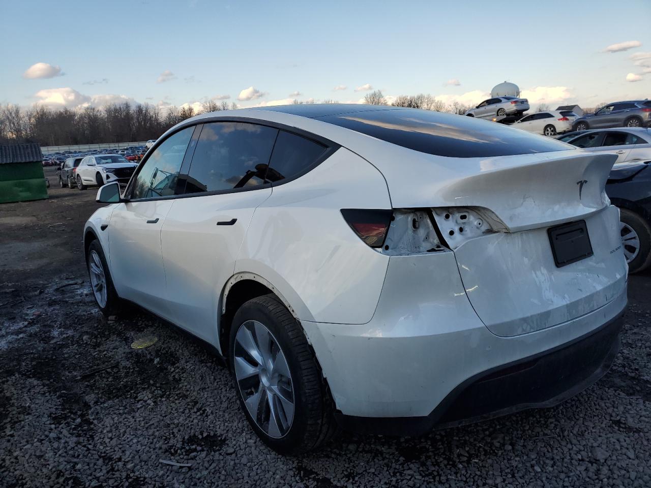 2023 TESLA MODEL Y  VIN:7SAYGDEE8PA160648