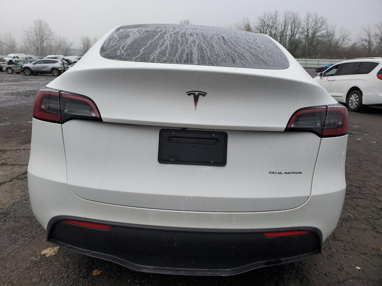 2023 TESLA MODEL Y  VIN:7SAYGDEE0PF774709