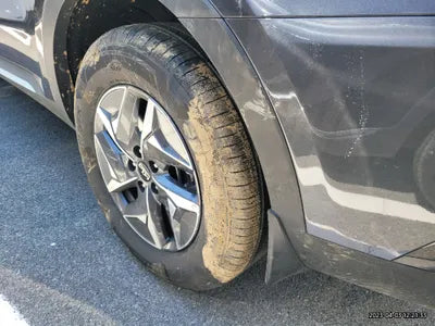 2023 Kia Sorento KNARL81GBPA144089 VIN:KNARL81GBPA144089