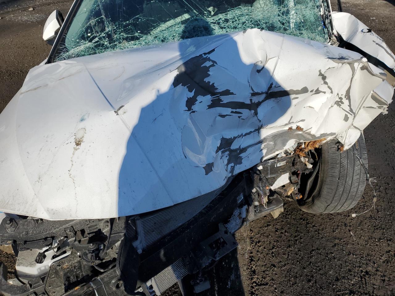 2024 HYUNDAI ELANTRA LIMITED VIN:KMHLN4DJ1RU094223