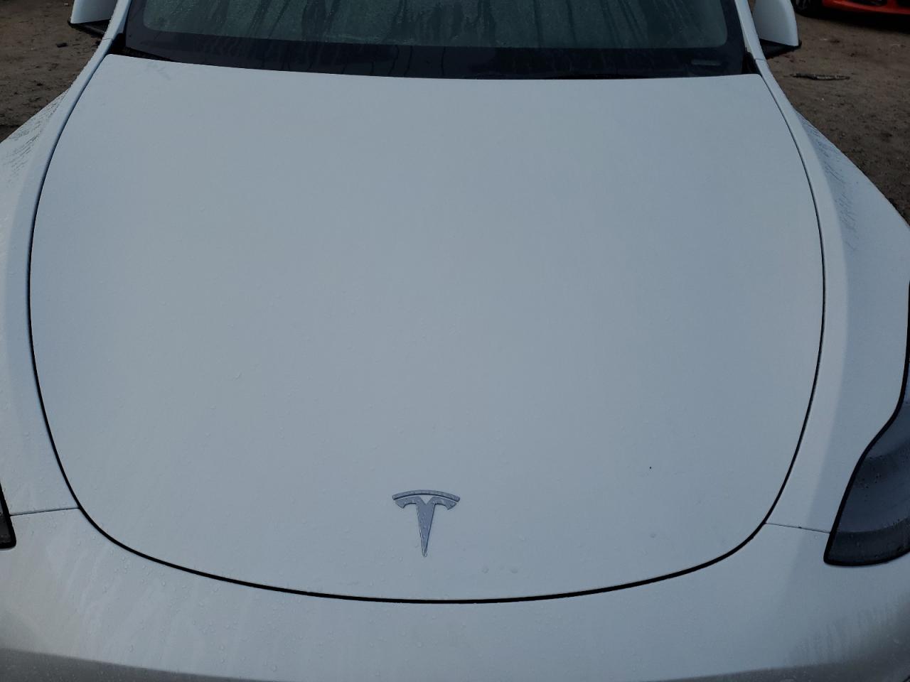 2024 TESLA MODEL Y  VIN:7SAYGDEDXRF129365