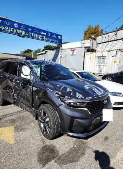 2021 Kia Sorento KNARK81GBMA014905 VIN:KNARK81GBMA014905