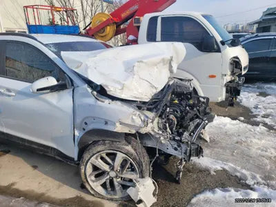 2019 Hyundai Kona KMHK4815GKU401737 VIN:KMHK4815GKU401737