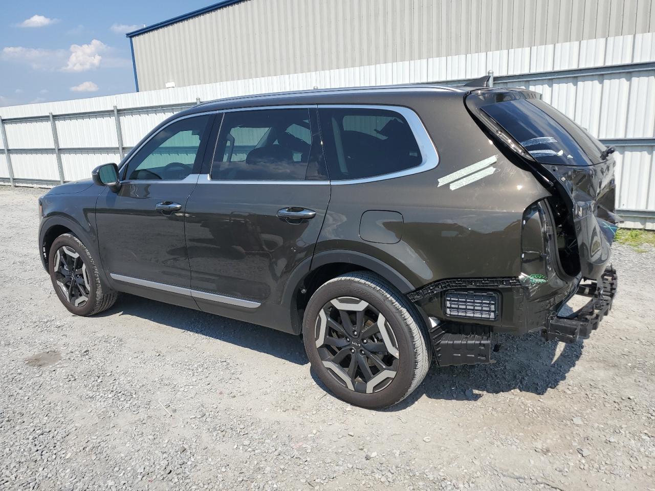 2024 KIA TELLURIDE S VIN:5XYP64GC9RG505403