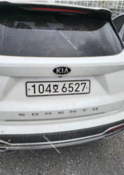 2021 Kia Sorento KNARF81BGMA032102 VIN:KNARF81BGMA032102