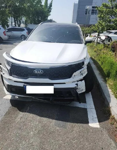 2021 Kia Sorento KNARL81BGMA026537 VIN:KNARL81BGMA026537