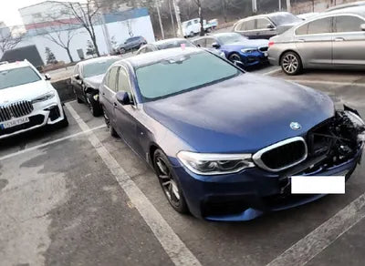 2020 BMW 520 WBAJF3105LWW55305 VIN:WBAJF3105LWW55305