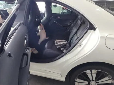 2017 Mercedes-Benz CLA 250 WDDSJ4GB7HN497654 VIN:WDDSJ4GB7HN497654