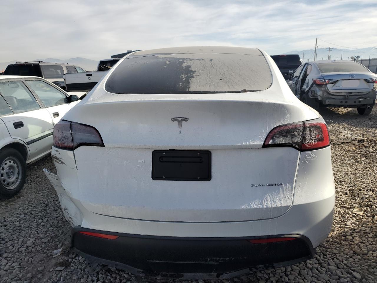 2024 TESLA MODEL Y  VIN:7SAYGDEE8RF089117