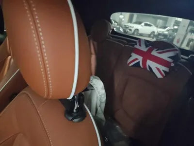 2020 MINI Cooper WMWWP1106L3M23613 VIN:WMWWP1106L3M23613
