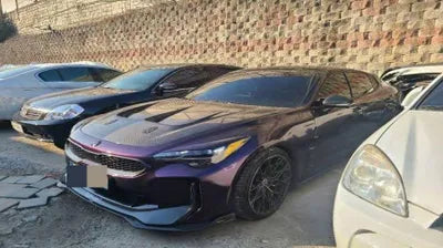 2020 Kia Stinger KNAE351DBMS093498 VIN:KNAE351DBMS093498
