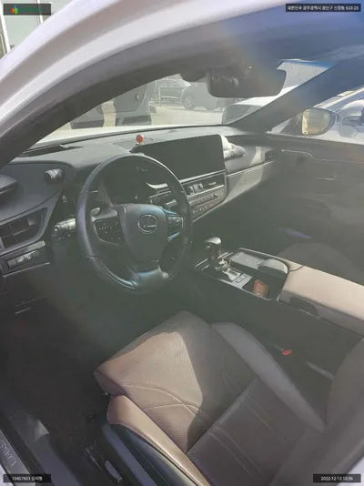 2022 Lexus ES 300 JTHBA1C10N2009517 VIN:JTHBA1C10N2009517