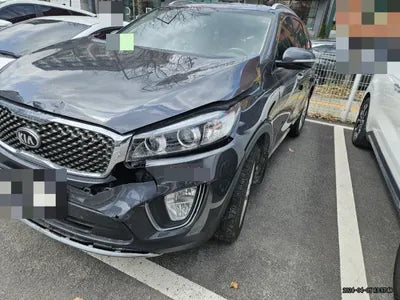 2016 Kia Sorento KNAPS81ABGA263117 VIN:KNAPS81ABGA263117