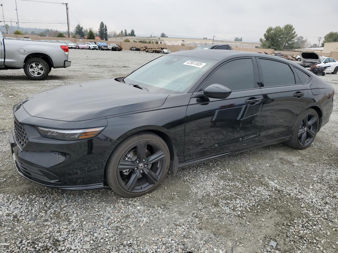 2024 HONDA ACCORD HYBRID SPORT-L VIN:1HGCY2F79RA086598