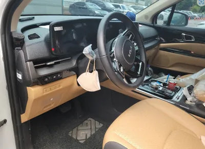 2022 Kia Carnival KNANE81BBNS173481 VIN:KNANE81BBNS173481