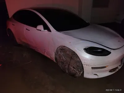 2020 Tesla Model 3 NONE VIN: