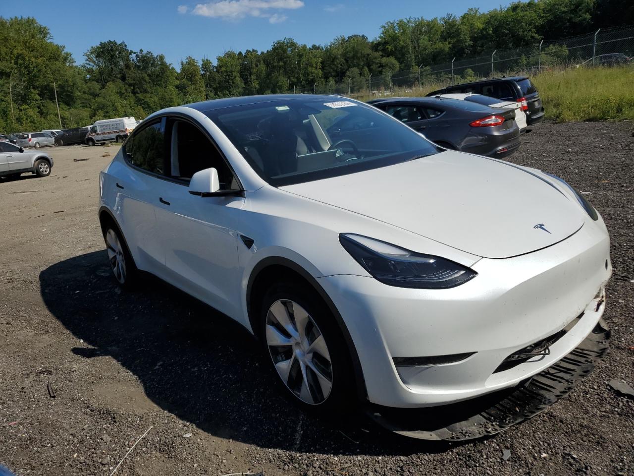 2023 TESLA MODEL Y  VIN:7SAYGDEE0PF695668