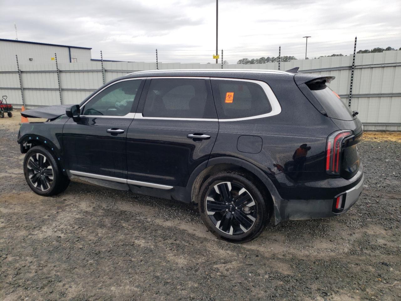 2024 KIA TELLURIDE SX VIN:5XYP5DGC3RG420527