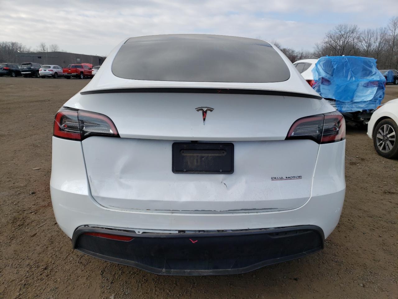 2023 TESLA MODEL Y  VIN:7SAYGDEFXPF855628