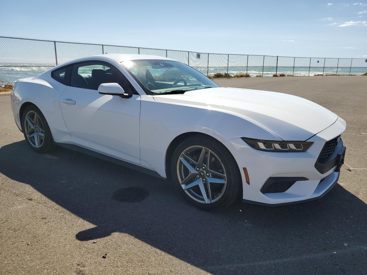 2024 FORD MUSTANG  VIN:1FA6P8TH6R5102995