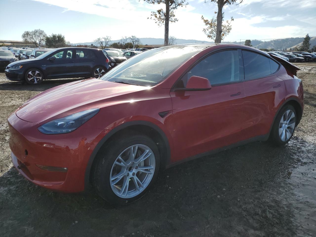 2023 TESLA MODEL Y  VIN:7SAYGDED3PF943225