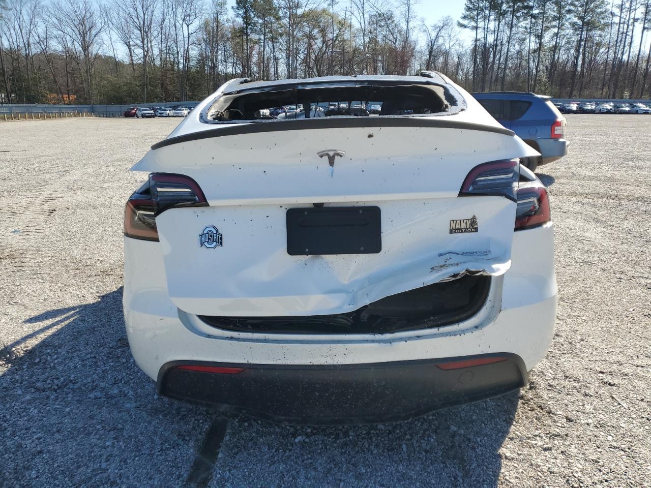 2024 TESLA MODEL Y  VIN:7SAYGDEF5RF183755