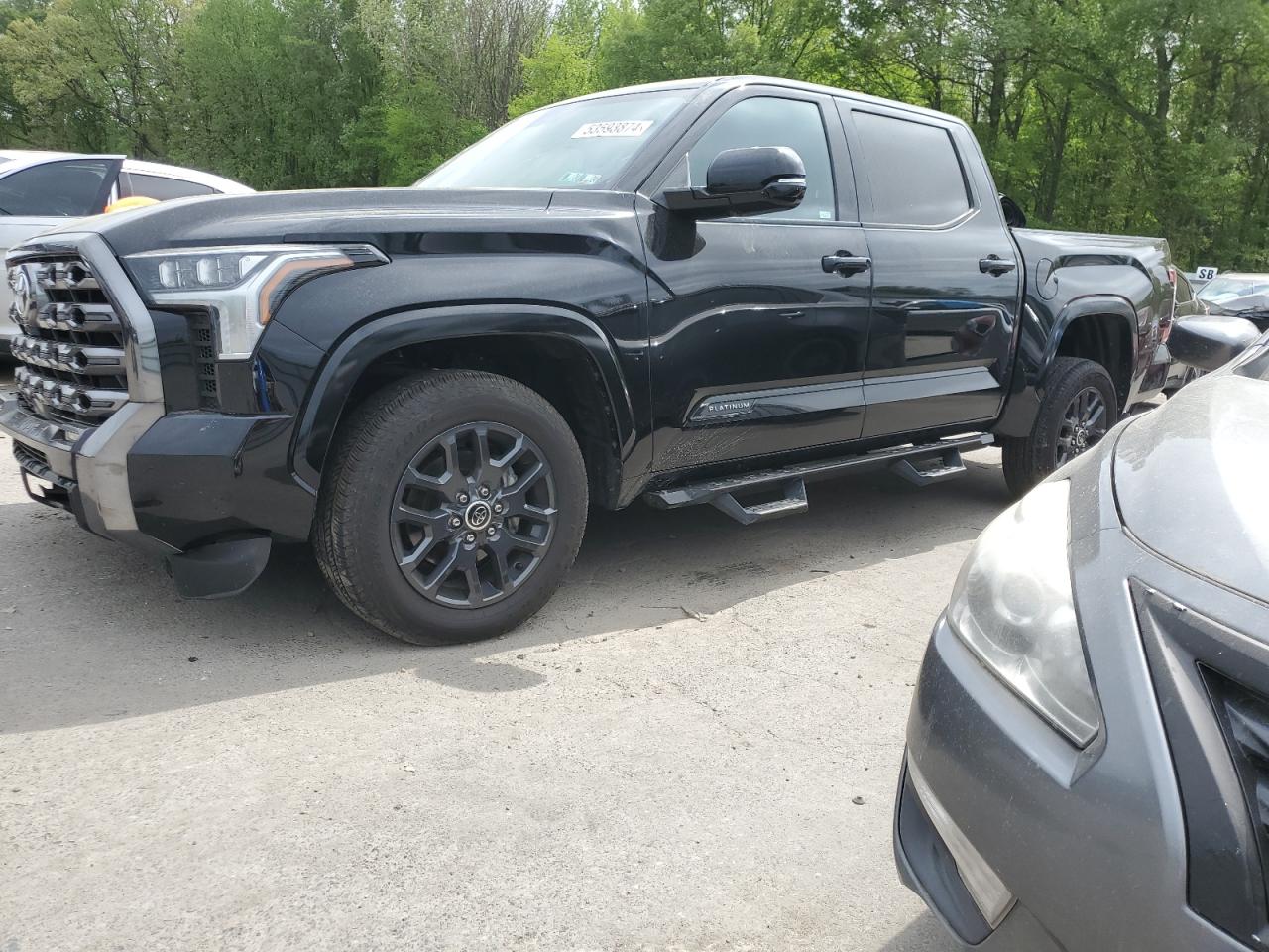 2023 TOYOTA TUNDRA CREWMAX PLATINUM VIN:5TFNA5DB2PX123571