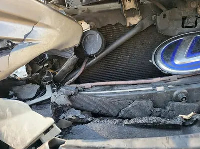 2019 Lexus ES 300 JTHB21B12K2049785 VIN:JTHB21B12K2049785