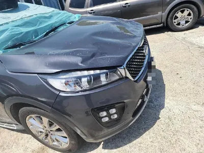 2017 Kia Sorento VIN: