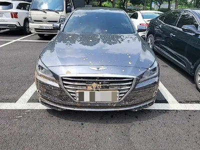 2015 acupuncture nessis 3.8 VIN: