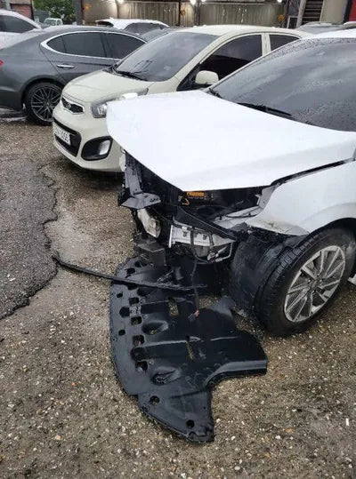 2020 Hyundai Ioniq KMHC051JFLU066449 VIN:KMHC051JFLU066449