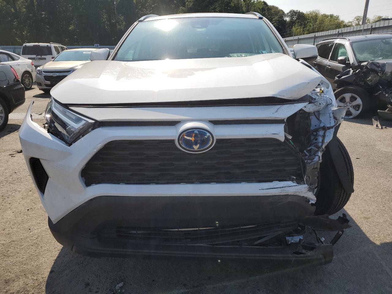 2024 TOYOTA RAV4 XLE VIN:2T3RWRFV7RW196329 – VIN Public