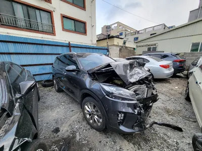 2019 Kia Sorento KNAPH81BBKA543943 VIN:KNAPH81BBKA543943