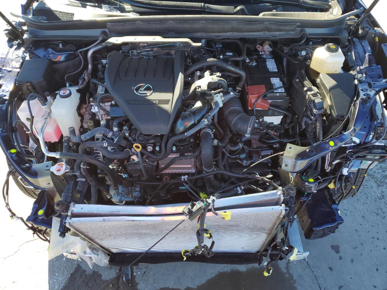 2024 LEXUS RX 350 BASE VIN:2T2BAMCA8RC067526